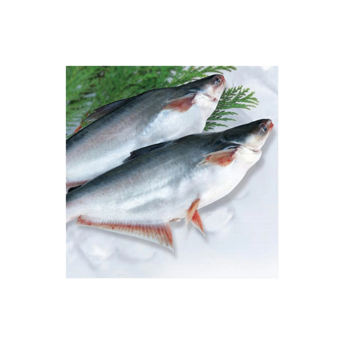 Untitled design (100) PANGASH FISH - Image 1