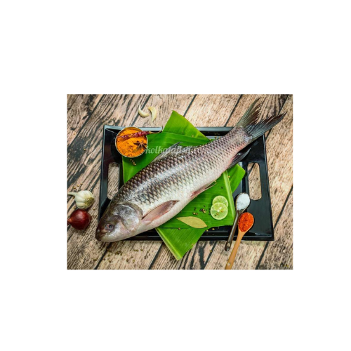 Untitled design - 2025-12-11T085507.743 Ruhu - Rohu Fish - Image 1