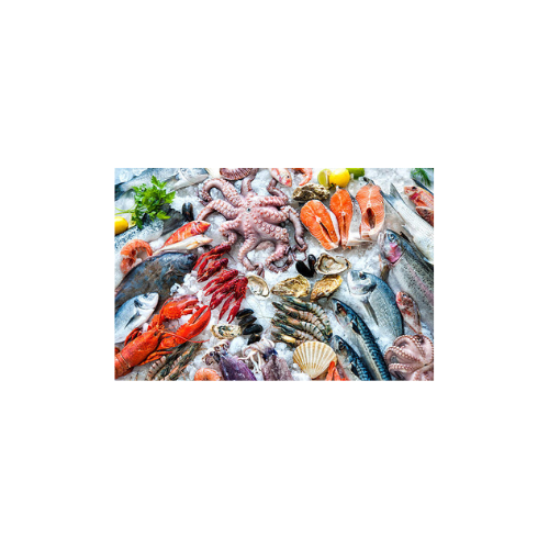 Untitled design - 2025-12-11T091823.454 MIX FISH BLOCK - Image 1