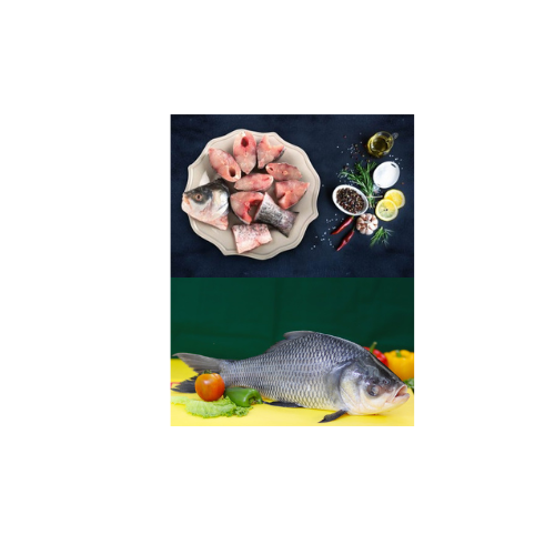 Untitled design - 2025-12-11T184949.190 Katol Fish - Image 1