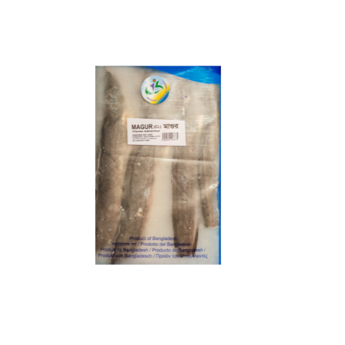 Untitled design - 2025-12-12T102046.634 CAT/MAGUR FISH - Image 1